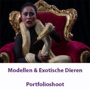 Modellen met Reptielen en Insecten – 28 februari 2027