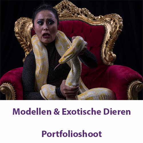 Modellen met Reptielen en Insecten – 28 februari 2027
