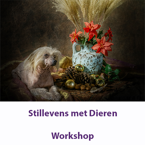 Stilleven met exotische dieren – 16 October 2027